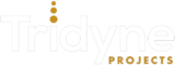 Tridyne Projects Corporation